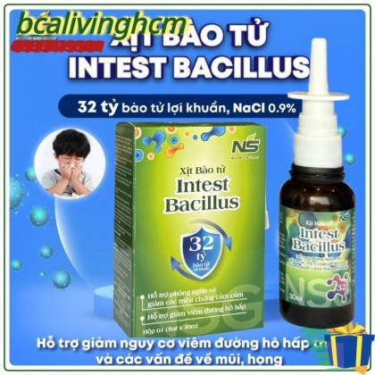 XỊT BÀO TỬ INTEST BACILLUS