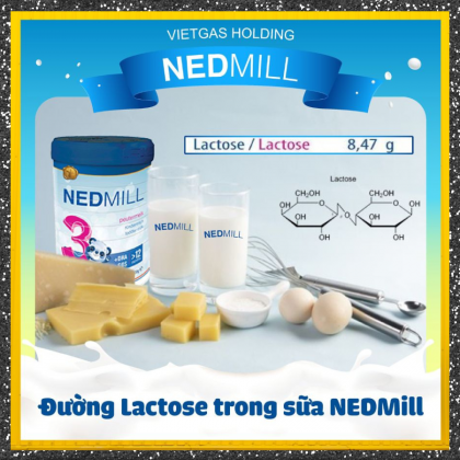 Bí Quyết Cho Sự Phát Triển Khỏe Mạnh Của Bé