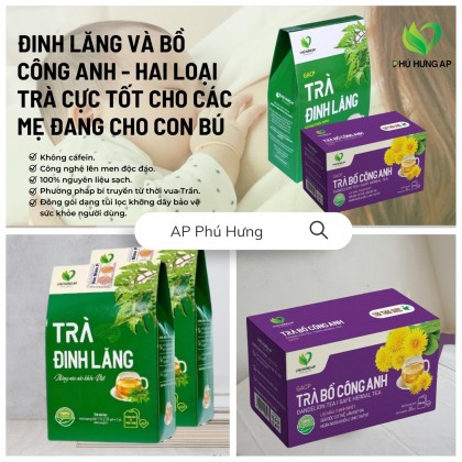 Combo trà đinh lăng và bồ công anh