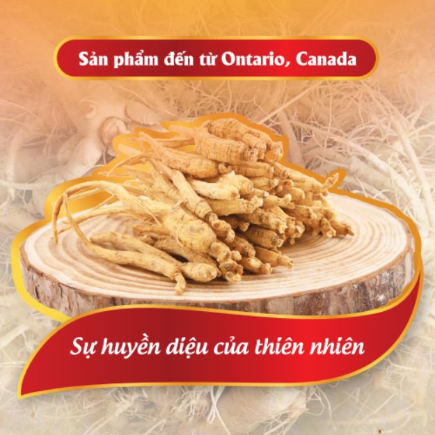 Sâm CND - Sự kỳ diệu của thiên nhiên